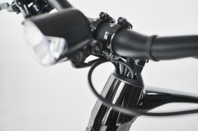 Diamant 365 HCH M Tiefschwarz Produktbild 3