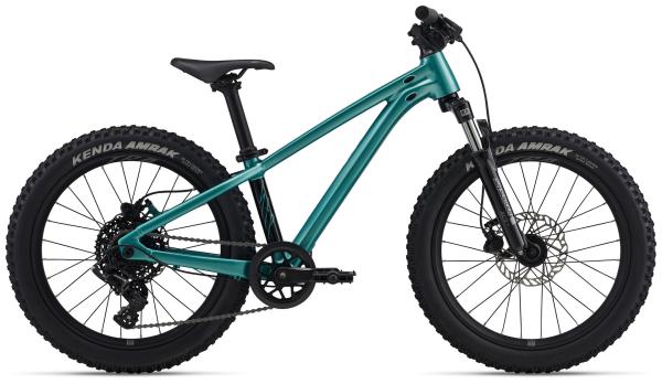 GIANT STP 20 FS teal one size