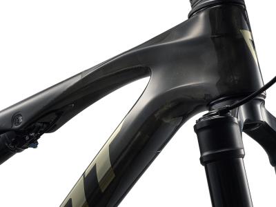 GIANT Anthem Advanced SL 0 Gloss Raw Carbon/Matte Raw Carbon L Produktbild 3