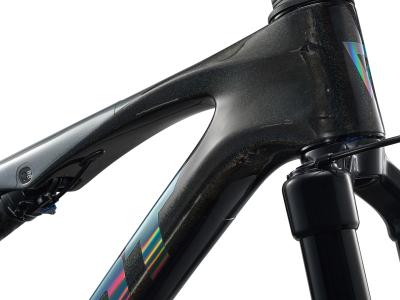 GIANT Anthem Advanced SL 1 rainbow black/rainbow charchoal XL Produktbild 3