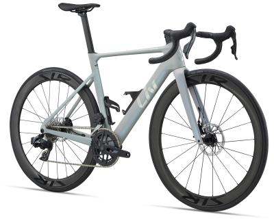 Liv EnviLiv Advanced Pro 1-AXS Supernova Grey/Chrome XXS Produktbild 1