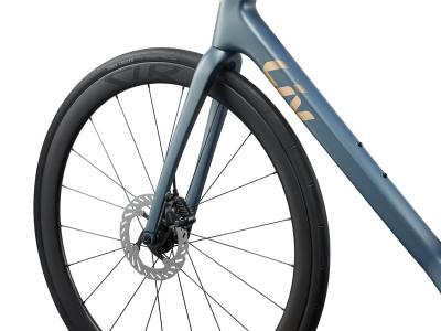 Liv Langma Advanced 0 Midnight Pine/Chrome M Produktbild 5