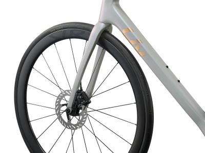 Liv Langma Advanced Pro 1 - Di2 Supernova Grey/Chrome XXS Produktbild 5