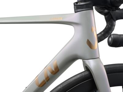 Liv Langma Advanced Pro 1 - Di2 Supernova Grey/Chrome XS Produktbild 2