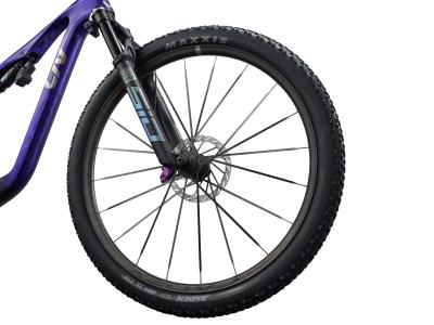 Liv Pique Advanced SL SE Stella Storm M Produktbild 2