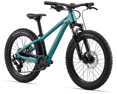 GIANT STP 20 FS teal one size Produktbild 1