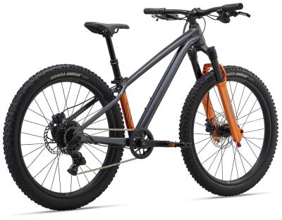 GIANT STP 24 FS black chrome one size Produktbild 1