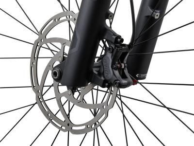 Liv Embolden E+ 2  Slate Gray/Black L Produktbild 3