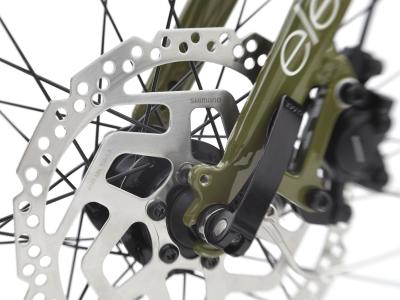 Electra Townie Path Go! 5i Step Thru EU M Olive Produktbild 14