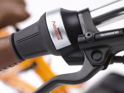 Electra Townie Commute Go! 5i Step Thru EU M Tangerine Produktbild 20