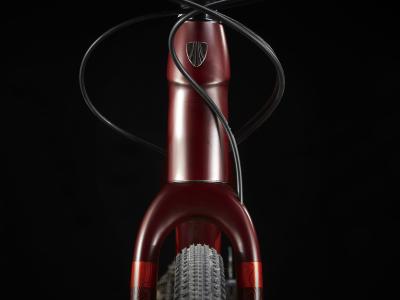 Trek CheckpointALR5 Driftless 54 Satin Cobra Blood Produktbild 20