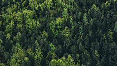 Trek Trikot Trek Circuit Women L Blush Produktbild 23