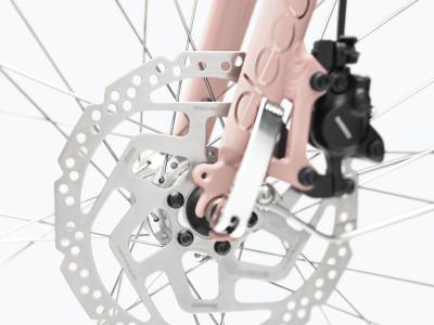 Electra Townie Path Go! 10D Step Thru EU M Rose Quartz Produktbild 15