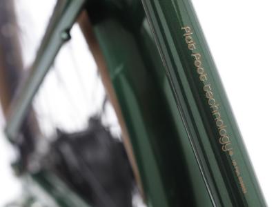 Electra Townie Go! 7D EQ Step Over EU M Evergreen Metallic Produktbild 14