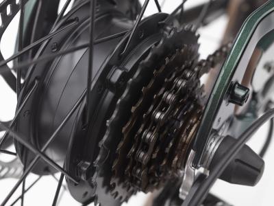 Electra Townie Go! 7D EQ Step Over EU M Evergreen Metallic Produktbild 15