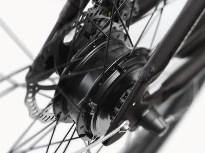 Electra Kakau Cruiser Go! Step Over EU M Matte Ember Produktbild 17