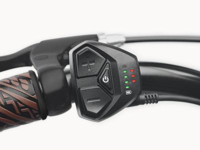 Electra Kakau Cruiser Go! Step Over EU M Matte Ember Produktbild 22