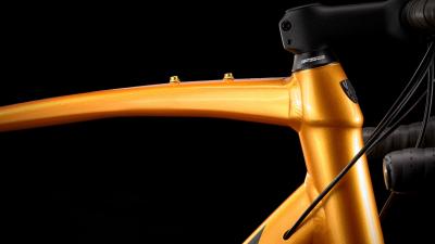 Trek Domane AL 2 61 Trek Black Produktbild 21