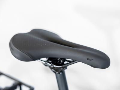 Trek Dual Sport 2 EQ L Galactic Grey Produktbild 17