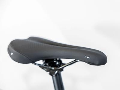 Trek Dual Sport 2 EQ S Mulsanne Produktbild 5