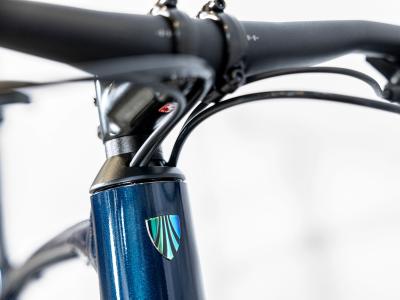 Trek Dual Sport 2 EQ L Mulsanne Produktbild 10