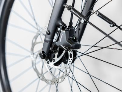 Trek Dual Sport 2 EQ Stagger XL Juniper Produktbild 15