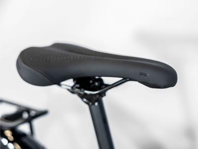 Trek Dual Sport 2 EQ Stagger XL Juniper Produktbild 17