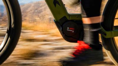 Trek Powerfly4 625w EU S 27.5 Living Coral /Solid Charc Produktbild 23