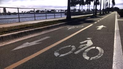 Trek District+ 4 Lowstep XL Trek Black Satin  800WH Produktbild 4