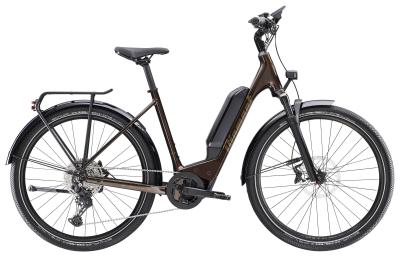 Diamant Zing Deluxe TIE L Berninabraun Metallic 545 Produktbild 1