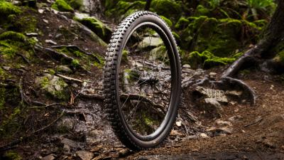 Bontrager Reifen Bontrager Brevard RSL XT 27.5x2.5 TLR Black Produktbild 3