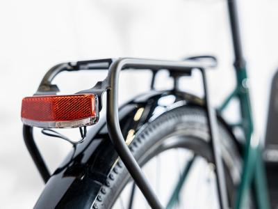 Trek Allant+ 6 Lowstep L Juniper 800WH Produktbild 10