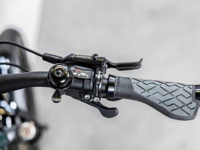 Trek Allant+ 6 Lowstep L Juniper 800WH Produktbild 5