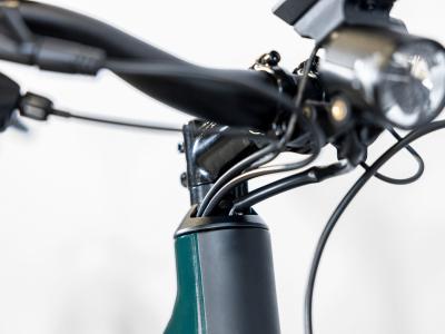 Trek Allant+ 6 Lowstep L Juniper 800WH Produktbild 6