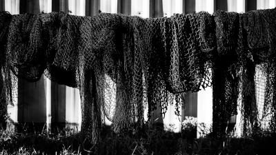 Trek Cage Trek  Elite Ocean Recycled Plastic Vice Pink Produktbild 4