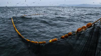 Trek Cage Trek Elite Ocean Recycled Plastic Power Surge Produktbild 5