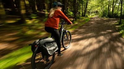 Trek Powerfly FS+ 4 EU M 29 Mercury/Dark Web Produktbild 6