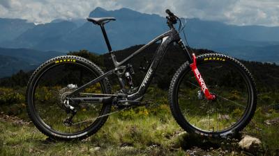 Trek FUEL+ EX 9.7 EU L Carbon Smoke/Lithium Grey Marble Produktbild 12
