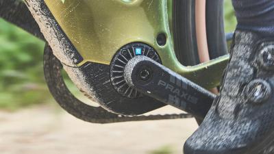 Trek Checkpoint+ SL6AXS EU XS Fjord Blue/Cobalt Blue Produktbild 11