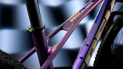 Trek Procaliber 9.7 L Dark Star Produktbild 6