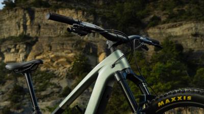 Trek FUEL+ EX 8 EU M Wild Mushroom/Trek Black Produktbild 7