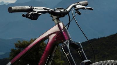 Trek Fuel MX 9.8 XT L Gloss Dark Carmine / Matte Trek B Produktbild 3