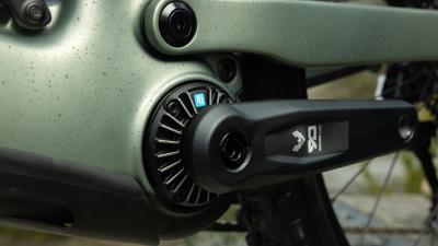 Trek FUEL+ LX 9.8 XT EU XL Lichen Green/Keswick Green S Produktbild 4