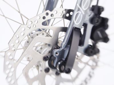 Electra Townie Path Go! 10D Step Thru EU M Holographic Produktbild 15