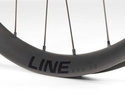 Bontrager Vorderrad Bontrager Line Pro 30 29 Disc 110mm Blac Produktbild 9
