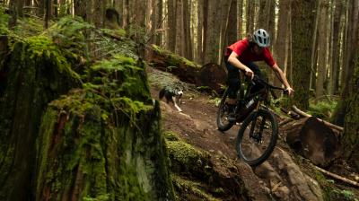 Bontrager Vorderrad Bontrager Line Elite 30 27,5 Disc 110mm Produktbild 14