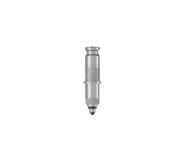 Schwalbe CLIK VALVE DV-SCV Conversion Kit (Valves only: 2xValve Core SCV, 1xKey, 2xDust C