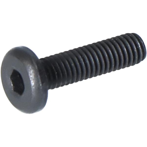 SHIMANO Fixierschraube M3 f&uuml;r EW-SW100, EW-SW300, EW-SW310